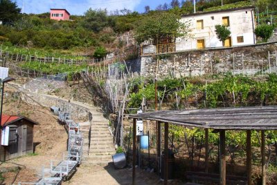 The Trip to Manarola