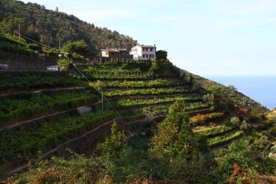 The Trip to Manarola