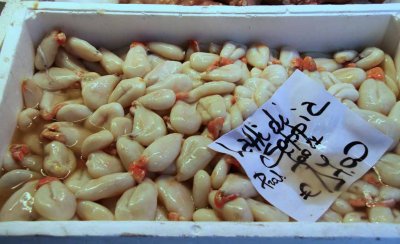 Rialto Fish Market