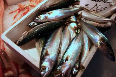 Rialto Fish Market