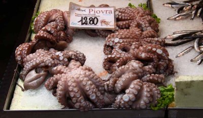 Rialto Fish Market