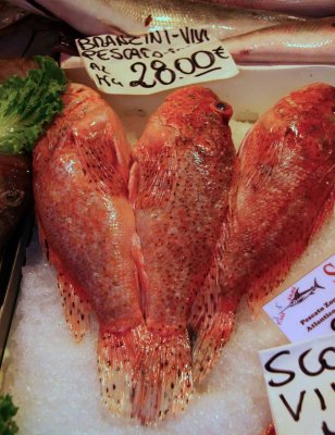 Rialto Fish Market