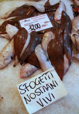 Rialto Fish Market
