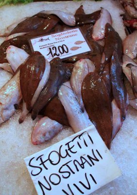 Rialto Fish Market