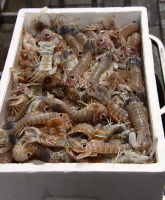 Rialto Fish Market