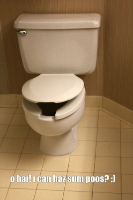 loltoilet01.jpg