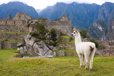llama02.jpg