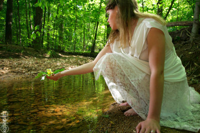 vb-streamflower04-web.jpg