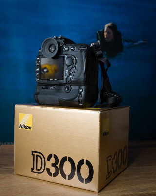 Nikon D300 - Back