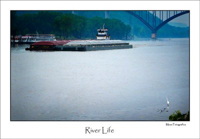 river life