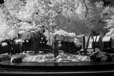 Fountain in Rice Park