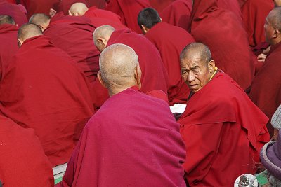 Tibetan monks