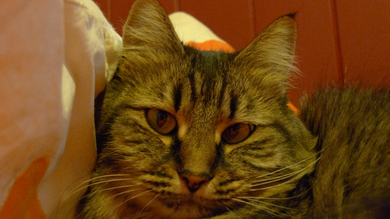 Without processing she looks yellow!