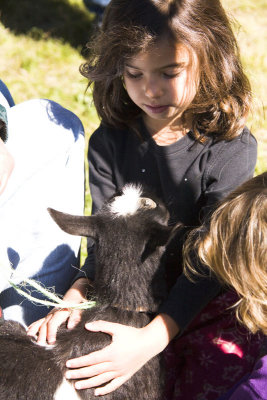 We find little girls petting goats, .....