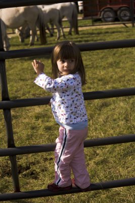 ...fences to climb, but the favorite is...