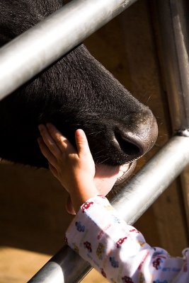 ....who loves to be patted and licks Lorelei's hand!