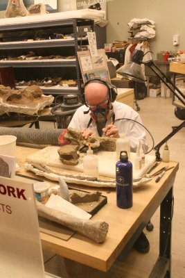 A Paleontologist at work.