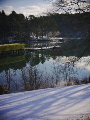 Around 9:00 AM it's peaceful and calm.