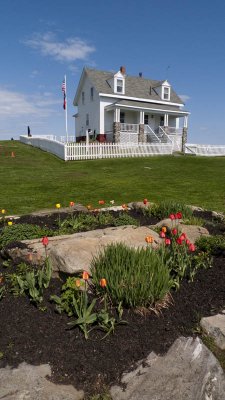 Then it's time for Pemaquid Light with Tulips!