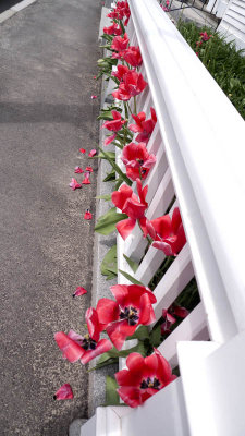 May 16: We've reached the middle of the month and spring has sprung...