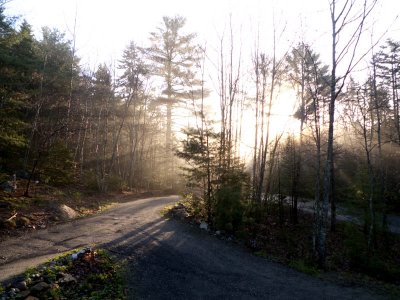 May 9: 5:00 AM sunshine