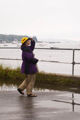 Nancy checks out the harbor.