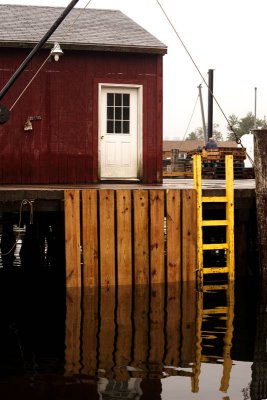 Lovely yellows reflected in harbor.