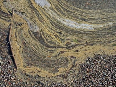 Where pollen sits on the lake in places.