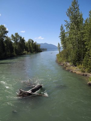 MacDonald Creek where it empties into the lake.