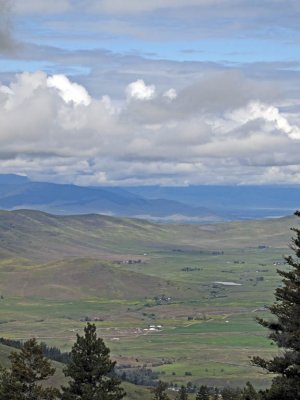 And when we reach the bison range....