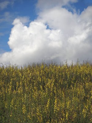 ....and the clouds...
