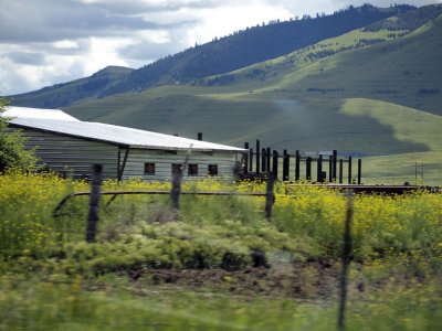 A ranch with yellow meadows and hills beyond.
