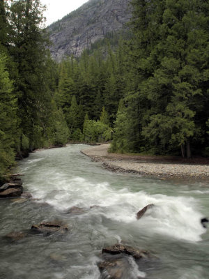 Avalanche creek rushes on.