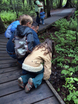 A family explores it.