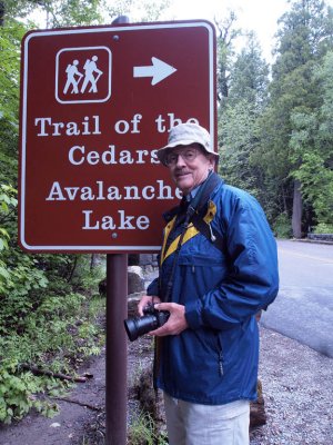 Then we head out for Trail of the Cedars and Avalanche Gorge.