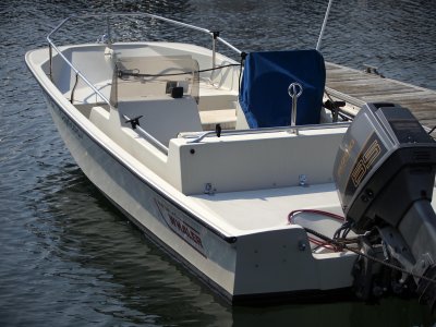 This one looks like the choice...a Boston Whaler with a Suzuki motor.