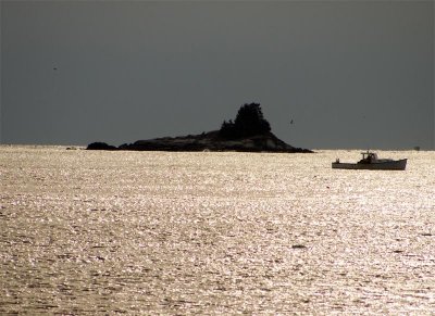 ...a neighborhood around the corner from New Harbor.