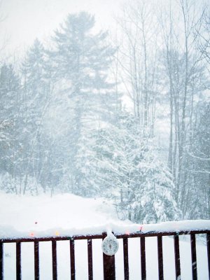 Jan. 12: The blizzard hits with...