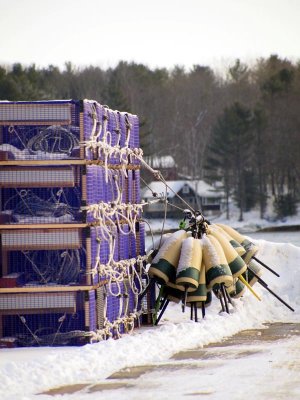 Colorful traps are at the docks...