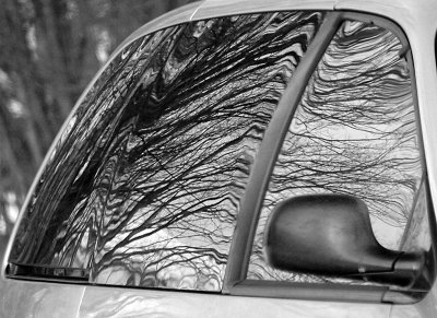 and trees reflected in van windows.