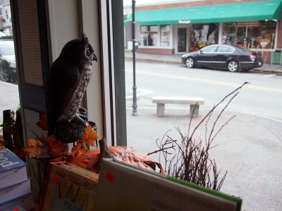The bookstore in Damariscotta has it's Fall display all set. 