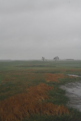 ....farm field after...