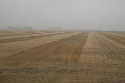 _MG_9119.JPG