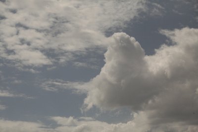 In Big Sky country we find...