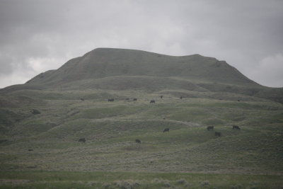 .....soft hills.