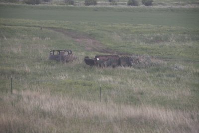 Old vehicles are left in the vastness to die and decay.