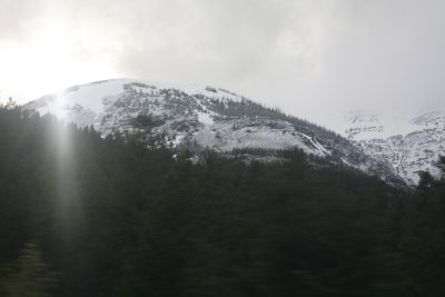 ....even though there's still snow.