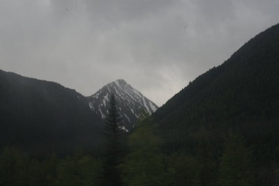 These are all shot from the train.