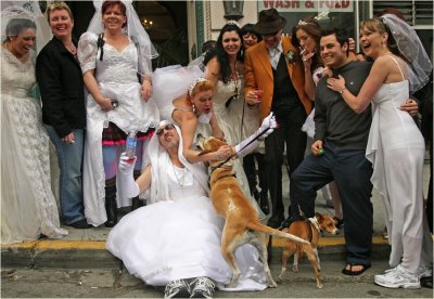 Brides Of March-Who let the dogs out?