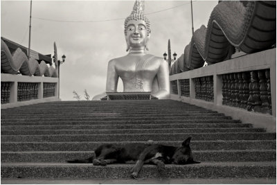 Buddha-Pattaya